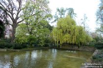 Oberrhein: Weiher im Mainzer Stadtpark - Foto: Stefan Frerichs / RheinWanderer.de