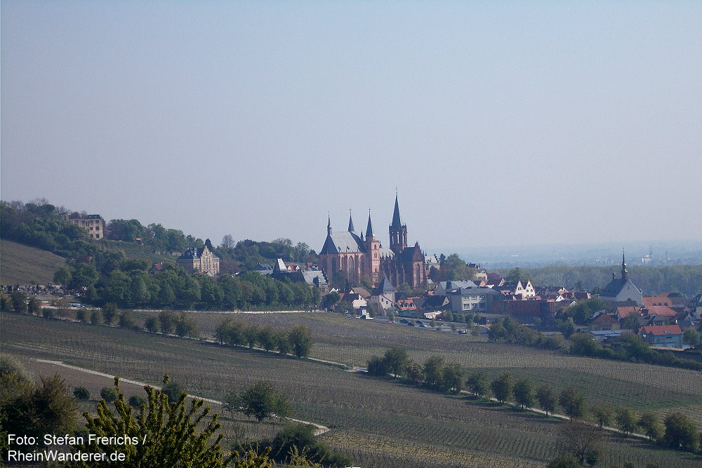 Oberrhein: Blick auf Oppenheim - Stefan Frerichs / RheinWanderer.de