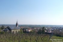 Oberrhein: Blick auf Ludwigshöhe - Stefan Frerichs / RheinWanderer.de