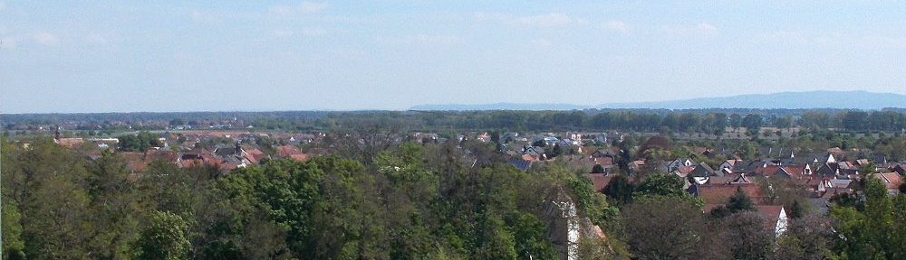 Oberrhein: Blick auf Alsheim mit Heidenturmkirche - Foto: Stefan Frerichs / RheinWanderer.de