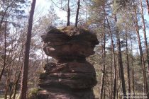 Pfälzerwald: Mooskopffelsen - Foto: Stefan Frerichs / RheinWanderer.de