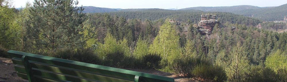 Pfälzerwald: Albert-Eisel-Bank am Lämmerfelsen - Foto: Stefan Frerichs / RheinWanderer.de