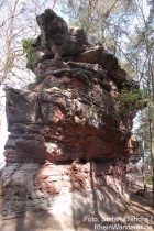 Pfälzerwald: Buntsandsteinriff am Lämmerfelsen - Foto: Stefan Frerichs / RheinWanderer.de