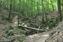 Mittelrhein: Steckeschlääferklamm im Binger Wald - Foto: Stefan Frerichs / RheinWanderer.de