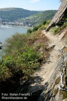 Mittelrhein: Haltedraht am Oelsbergsteig - Foto: Stefan Frerichs / RheinWanderer.de