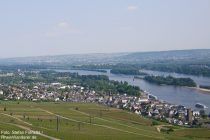 Mittelrhein: Blick auf Rüdesheim - Foto: Stefan Frerichs / RheinWanderer.de