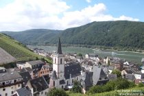 Mittelrhein: Blick auf Assmannshausen - Foto: Stefan Frerichs / RheinWanderer.de