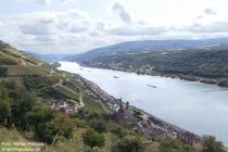 Mittelrhein: Aussichtspunkt Panoramablick bei Lorchhausen - Foto: Stefan Frerichs / RheinWanderer.de