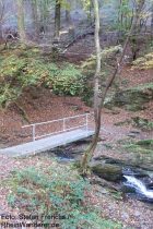 Mittelrhein: Steg im Bornichbachtal - Foto: Stefan Frerichs / RheinWanderer.de