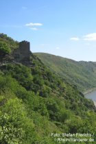 Mittelrhein: Blick auf Burg Liebenstein - Foto: Stefan Frerichs / RheinWanderer.de