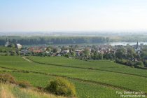 Oberrhein: Blick auf Nierstein - Foto: Stefan Frerichs / RheinWanderer.de
