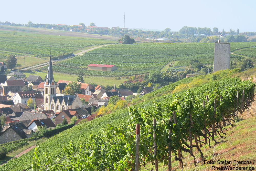 Oberrhein: Blick auf Schwabsburg mit Burgruine - Foto: Stefan Frerichs / RheinWanderer.de