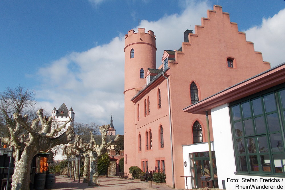 Burg Crass und Kurfürstliche Burg in Eltville - Foto: Stefan Frerichs / RheinWanderer.de