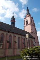 Inselrhein: Sankt-Peter-und-Paul-Kirche in Eltville - Foto: Stefan Frerichs / RheinWanderer.de