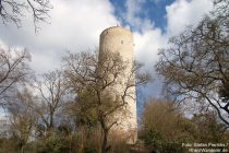 Inselrhein: Bergfried von Burg Scharfenstein - Foto: Stefan Frerichs / RheinWanderer.de