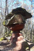 Pfälzerwald: Felspilz zwischen Hornstein und Geiersteinen - Foto: Stefan Frerichs / RheinWanderer.de