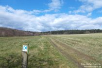 Inselrhein: Rheinsteig auf Wiesenpfad hinter Kiedrich - Foto: Stefan Frerichs / RheinWanderer.de