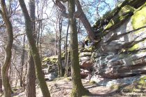 Pfälzerwald: Felsenriff hinter den Geiersteinen - Foto: Stefan Frerichs / RheinWanderer.de