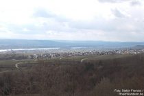 Inselrhein: Blick auf Hallgarten - Foto: Stefan Frerichs / RheinWanderer.de