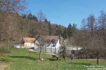 Inselrhein: Schleifmühle im Elsterbachtal - Foto: Stefan Frerichs / RheinWanderer.de