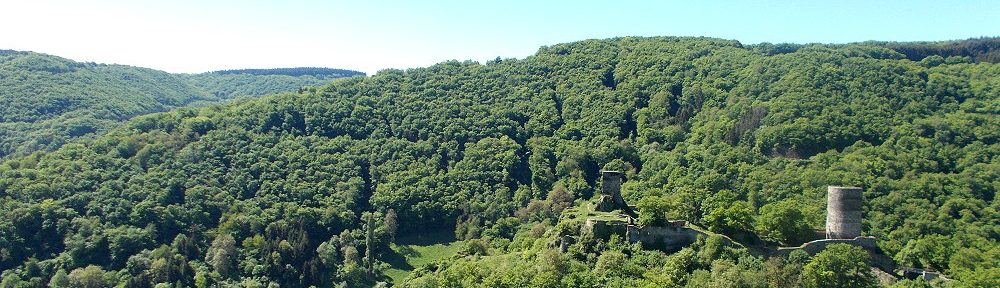 Mittelrhein: Blick auf Burgruine Stahlberg und Steeg - Foto: Stefan Frerichs / RheinWanderer.de