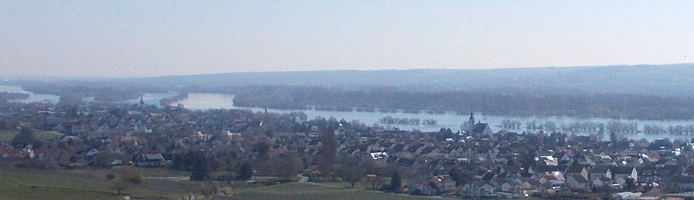 Inselrhein: Blick auf Oestrich-Winkel - Foto: Stefan Frerichs / RheinWanderer.de