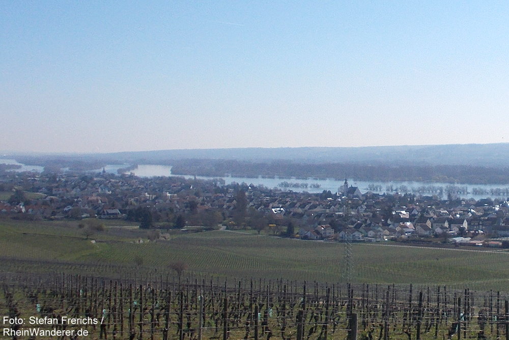 Inselrhein: Blick auf Oestrich-Winkel - Foto: Stefan Frerichs / RheinWanderer.de