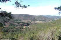 Pfälzerwald: Blick vom Aussichtspunkt Dimberg - Foto: Stefan Frerichs / RheinWanderer.de