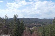 Pfälzerwald: Blick vom Häuselstein auf Darstein - Foto: Stefan Frerichs / RheinWanderer.de