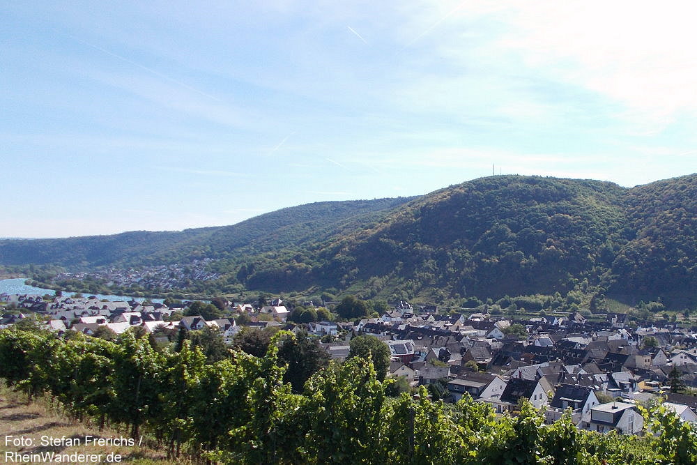 Mosel: Blick auf Winningen - Foto: Stefan Frerichs / RheinWanderer.de