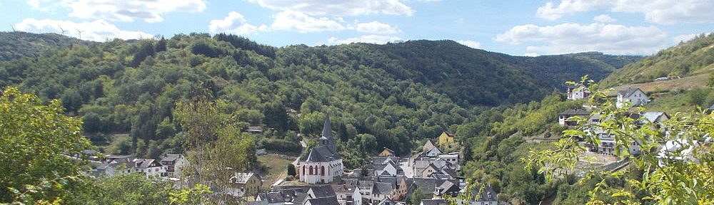 Mittelrhein: Blick auf Oberdiebach - Foto: Stefan Frerichs / RheinWanderer.de