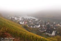 Mosel: Blick auf Karden - Foto: Stefan Frerichs / RheinWanderer.de