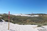 Amrum: Dünenwanderweg bei Wittdün - Foto: Stefan Frerichs / RheinWanderer.de