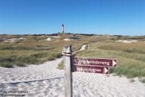 Amrum: Wegweiser am Dünenwanderweg - Foto: Stefan Frerichs / RheinWanderer.de