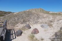 Amrum: Großsteingrab im Archäologischen Areal - Foto: Stefan Frerichs / RheinWanderer.de