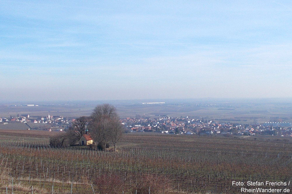 Pfälzerwald: Blick auf Heiligenkirche und Bockenheim an der Weinstraße - Foto: Stefan Frerichs / RheinWanderer.de