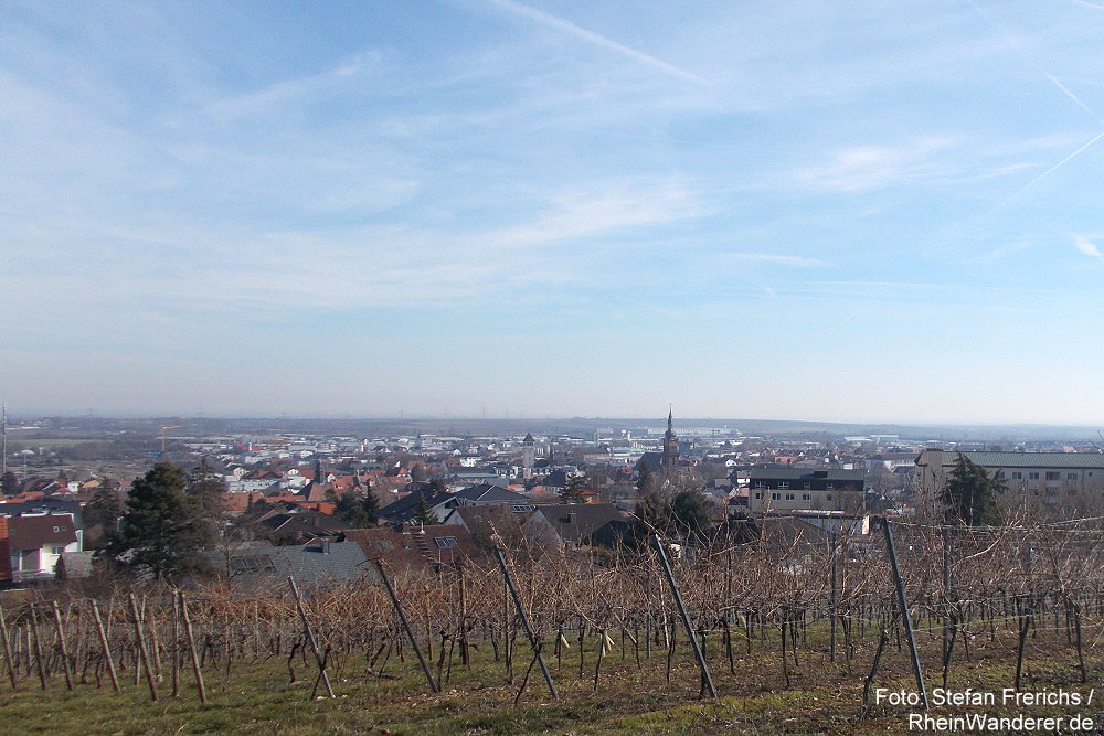 Pfälzerwald: Blick auf Grünstadt - Foto: Stefan Frerichs / RheinWanderer.de