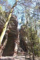 Pfälzerwald: Felsen des Schafstein-Massivs - Foto: Stefan Frerichs / RheinWanderer.de