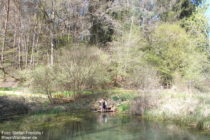 Pfälzerwald: Quellteich der Reinigshofquelle bei Bruchweiler-Bärenbach - Foto: Stefan Frerichs / RheinWanderer.de