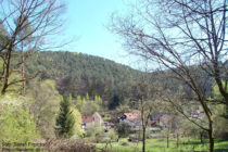 Pfälzerwald: Blick auf Erfweiler - Foto: Stefan Frerichs / RheinWanderer.de