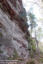 Pfälzerwald: Felswand der Dretschbergfelsen bei Bruchweiler-Bärenbach - Foto: Stefan Frerichs / RheinWanderer.de