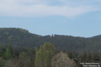 Pfälzerwald: Blick auf den Napoleonsfelsen bei Bruchweiler-Bärenbach - Foto: Stefan Frerichs / RheinWanderer.de