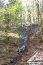 Pfälzerwald: Wasserfall am Waldbach - Foto: Stefan Frerichs / RheinWanderer.de