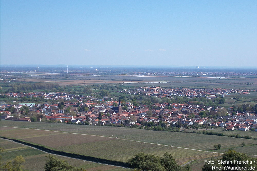 Pfälzerwald: Blick von der Michaelskapelle auf Deidesheim - Foto: Stefan Frerichs / RheinWanderer.de