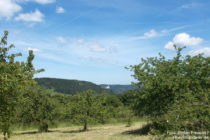 Mittelrhein: Blick Richtung Marksburg - Foto: Stefan Frerichs / RheinWanderer.de