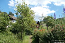 Mittelrhein: Rheinsteig am Schlierbach in Braubach-Nord - Foto: Stefan Frerichs / RheinWanderer.de