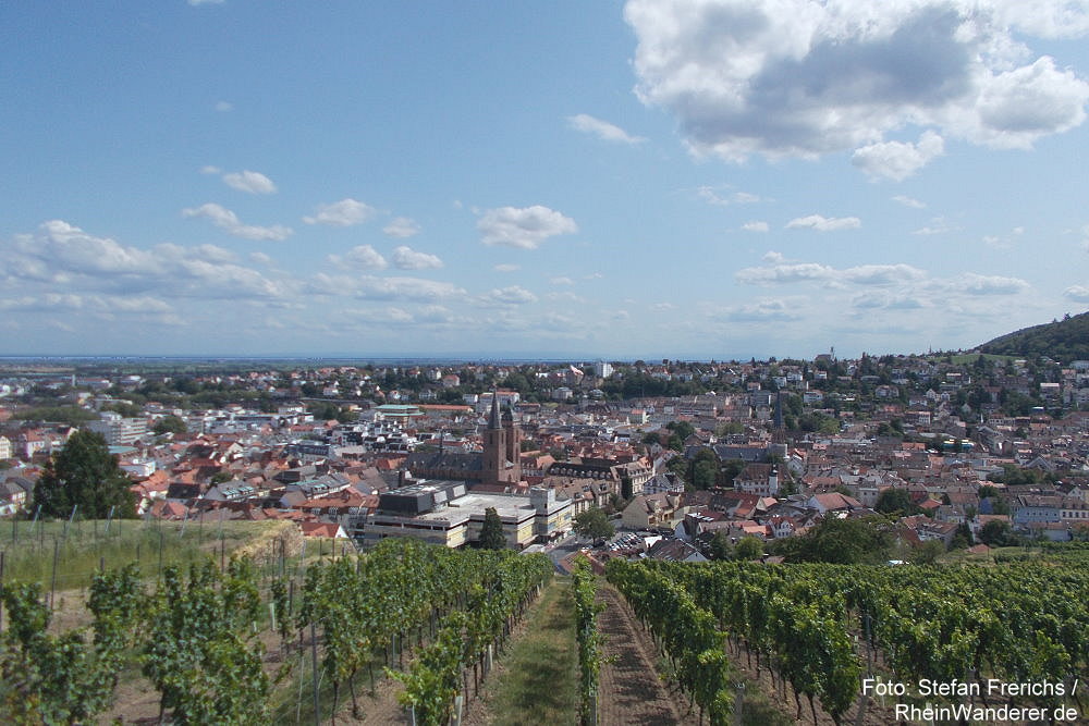 Pfälzerwald: Blick auf Neustadt an der Weinstraße - Foto: Stefan Frerichs / RheinWanderer.de