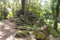 Odenwald: Felsen des Frankensteinmassivs - Foto: Stefan Frerichs / RheinWanderer.de