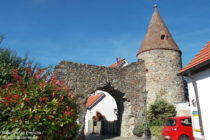 Odenwald: Stadttor und -turm Aul in Zwingenberg - Foto: Stefan Frerichs / RheinWanderer.de