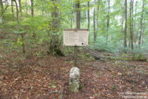 Obere Donau: Historischer Grenzstein - Foto: Stefan Frerichs / RheinWanderer.de